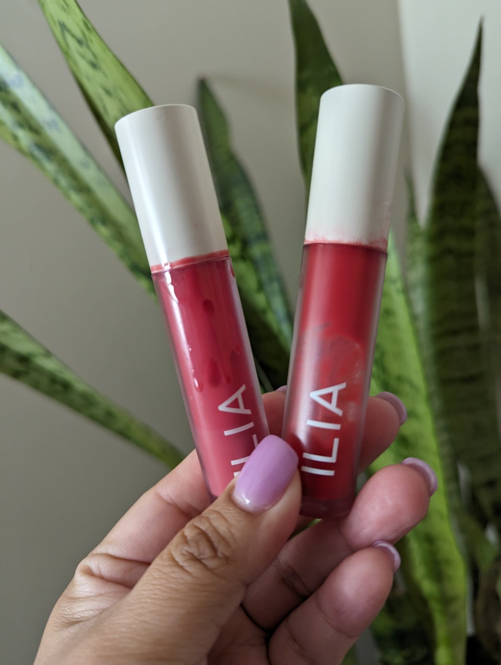 Ilia Lip Oil&nbsp;Review
